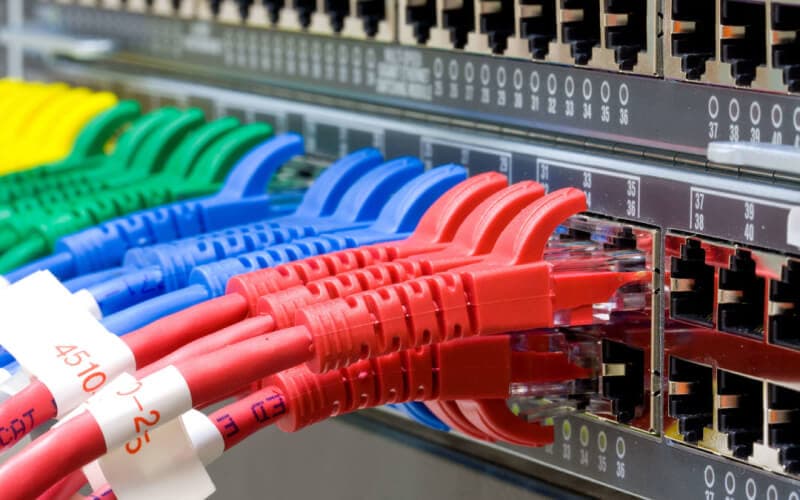 Network cables plugged into a switch