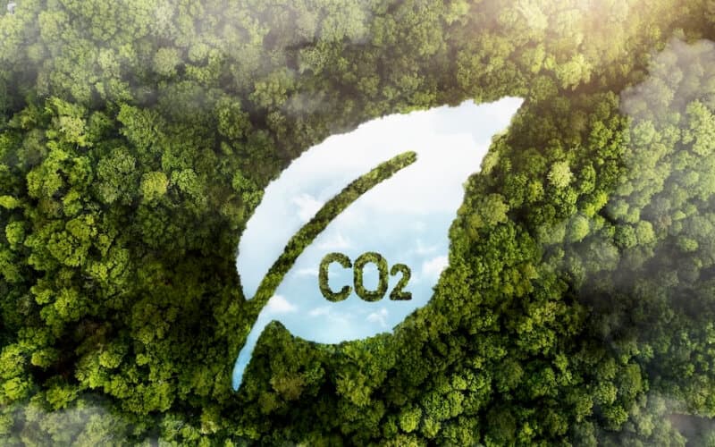 View of green forest trees with co2.