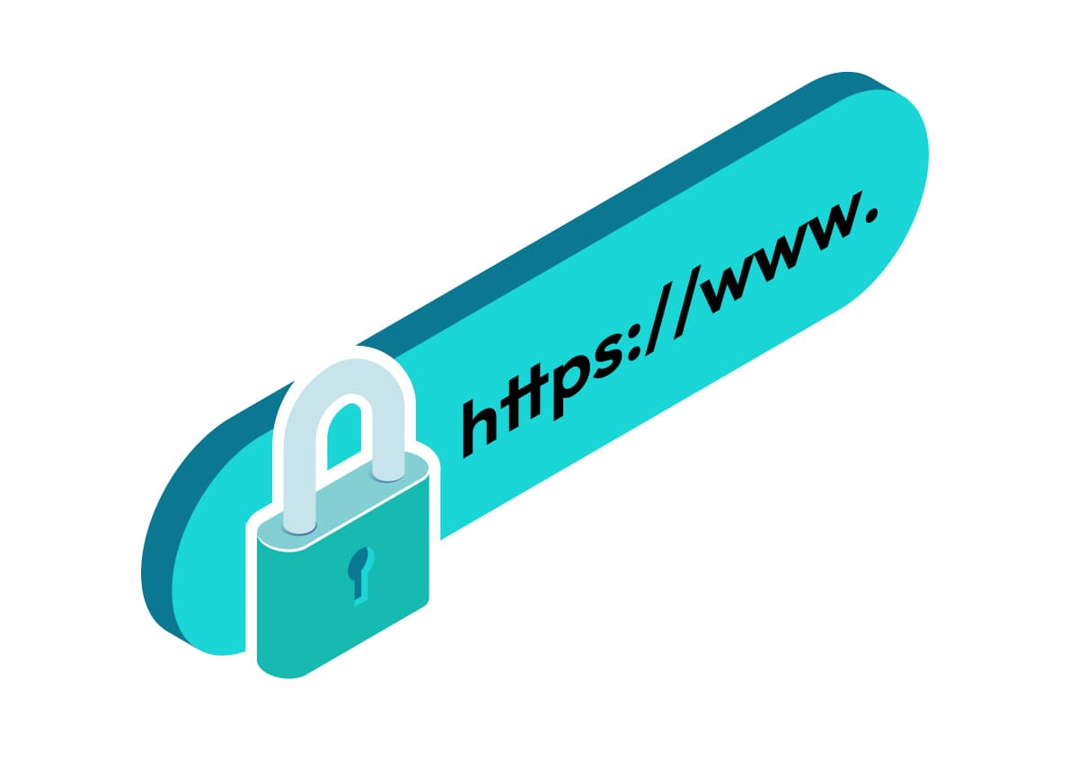 Vector image of a site URL with secure lock.